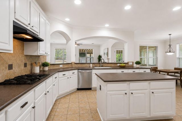 1598 Tahoka Daisy DR, Cedar Park, TX 78613