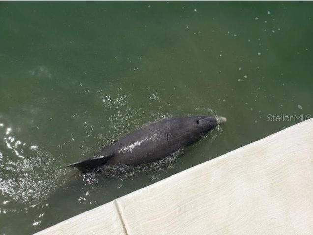 5200 BRITTANY DR. S 1510, St Petersburg, FL 33715