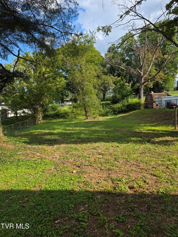 305 Johnston Avenue, Bristol, TN 37620