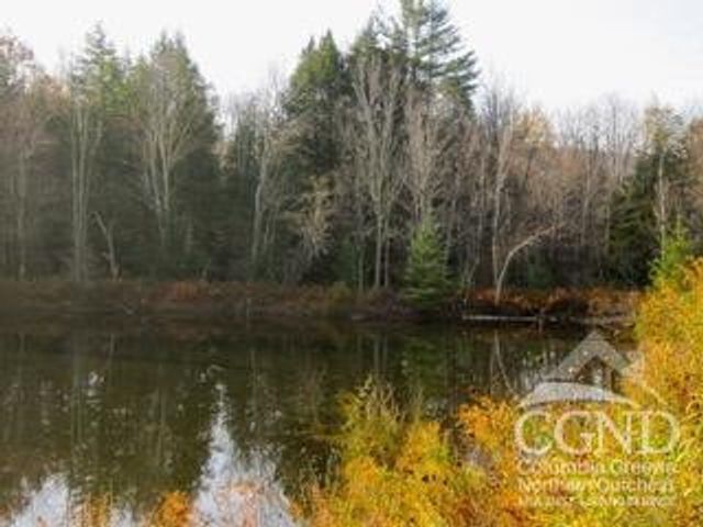 274 Route 65 Route 41, Windham, NY 12496