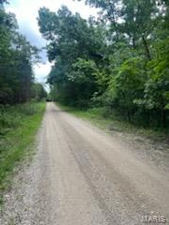 Image 1 of property listing at 0 Rue Felice, Bonne Terre, MO 63628