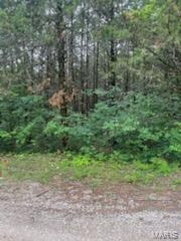 Image 2 of property listing at 0 Rue Felice, Bonne Terre, MO 63628