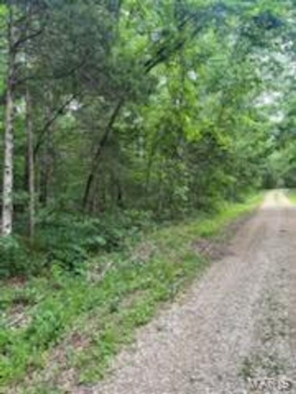 Image 3 of property listing at 0 Rue Felice, Bonne Terre, MO 63628