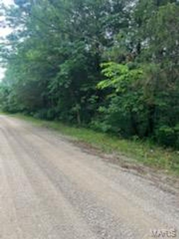 Image 4 of property listing at 0 Rue Felice, Bonne Terre, MO 63628