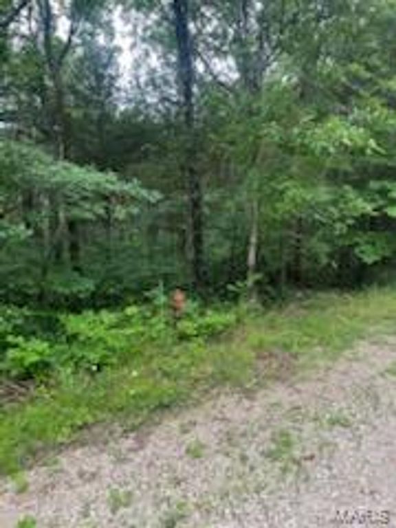 Image 5 of property listing at 0 Rue Felice, Bonne Terre, MO 63628