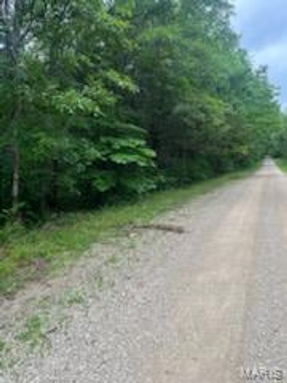 Image 6 of property listing at 0 Rue Felice, Bonne Terre, MO 63628