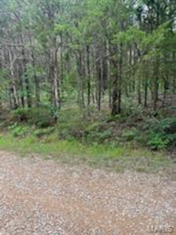 Image 7 of property listing at 0 Rue Felice, Bonne Terre, MO 63628