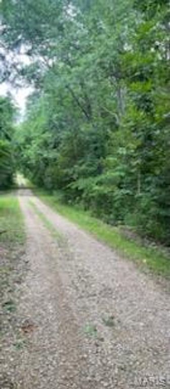 Image 8 of property listing at 0 Rue Felice, Bonne Terre, MO 63628