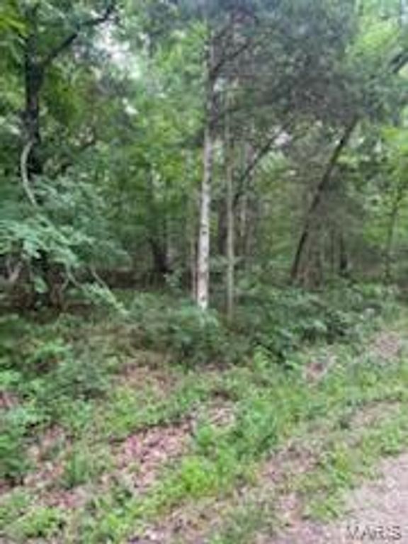 Image 9 of property listing at 0 Rue Felice, Bonne Terre, MO 63628