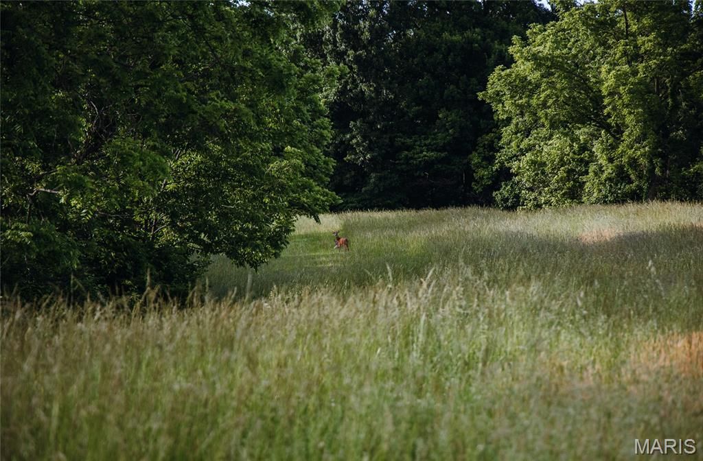 Image 57 of property listing at 90 Jug Hollow Road, Hardin, IL 62047