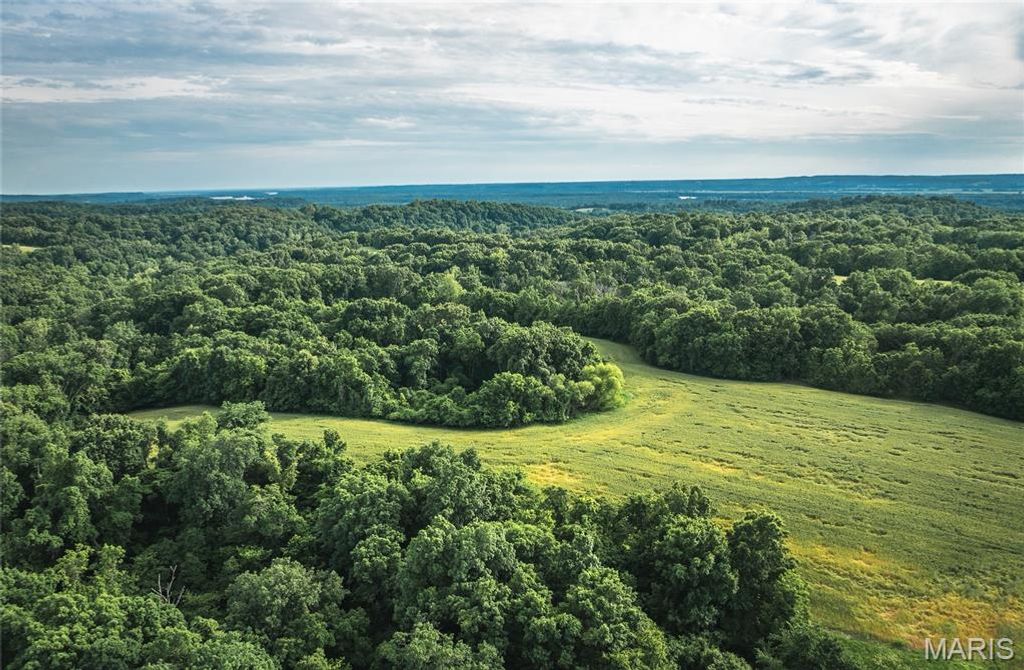 Image 61 of property listing at 90 Jug Hollow Road, Hardin, IL 62047