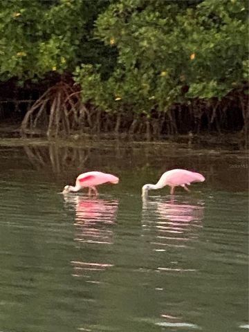 211 RUBENS DRIVE E, Nokomis, FL 34275