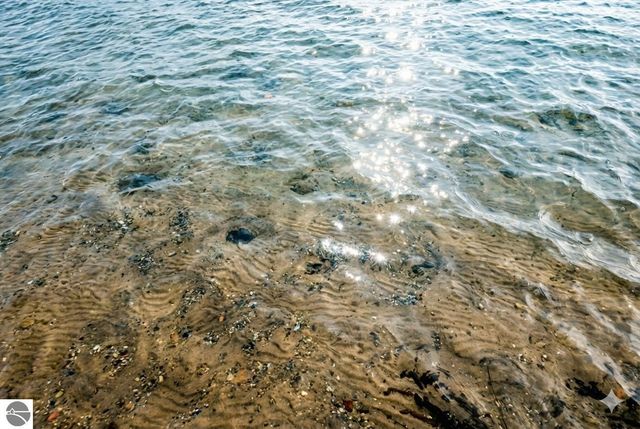 3763 East Shore Drive, Grawn, MI 49637