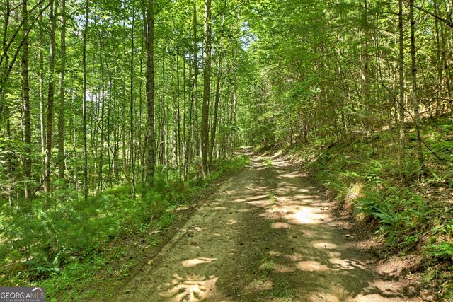 28 AC Jolley Way, Epworth, GA 30541