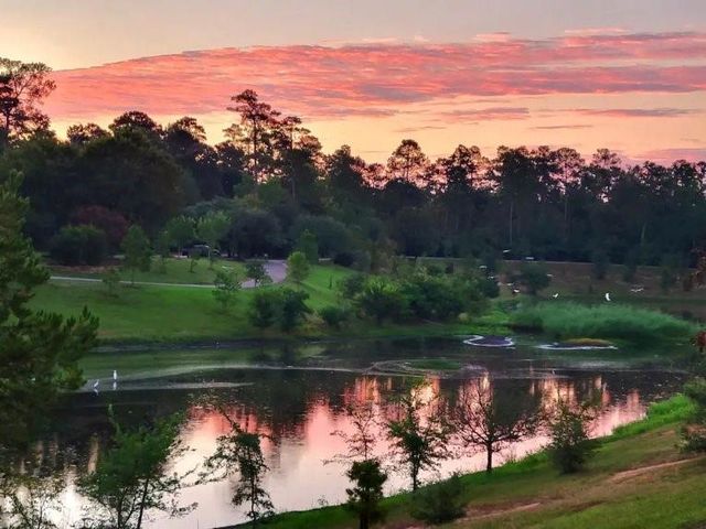 158 N Whistlers Bend Circle, The Woodlands, TX 77384