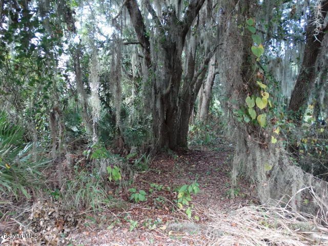 4585 Osprey Avenue, Cocoa, FL 32926