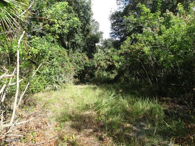 4585 Osprey Avenue, Cocoa, FL 32926