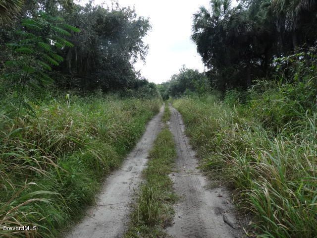 4585 Osprey Avenue, Cocoa, FL 32926