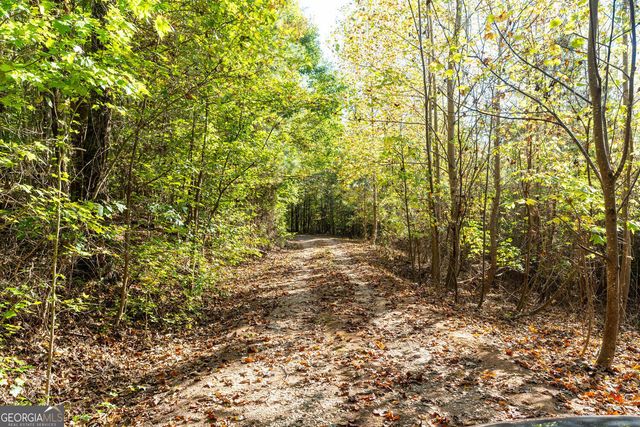 0 Vinson Mountain Road, Rockmart, GA 30153