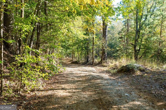 0 Vinson Mountain Road, Rockmart, GA 30153