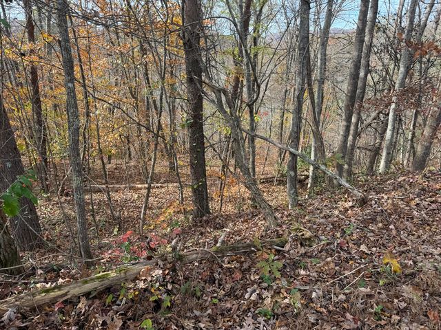 0 Maple Creek Road, Williamsburg, KY 40769