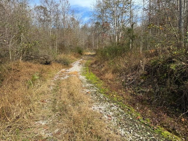 0 Maple Creek Road, Williamsburg, KY 40769