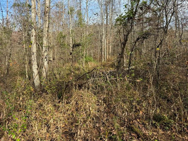 0 Maple Creek Road, Williamsburg, KY 40769