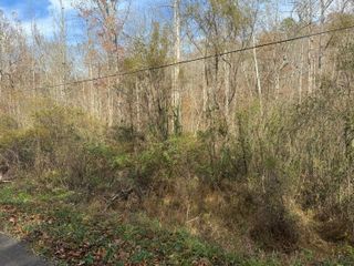 0 Maple Creek Road, Williamsburg, KY 40769