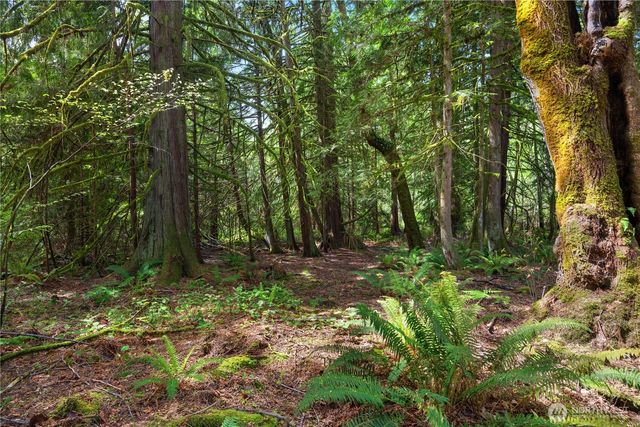 220 E Moore Lane, Shelton, WA 98584