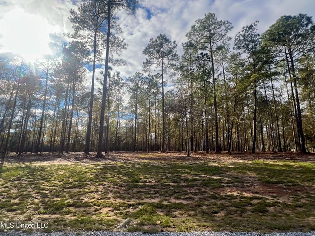 Lot 7 Pine Ridge Lane, Lucedale, MS 39452
