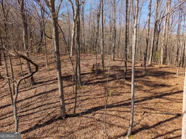 1110 Mayfield Lane, Ranger, GA 30734