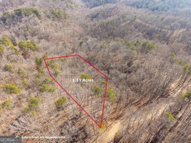 1110 Mayfield Lane, Ranger, GA 30734