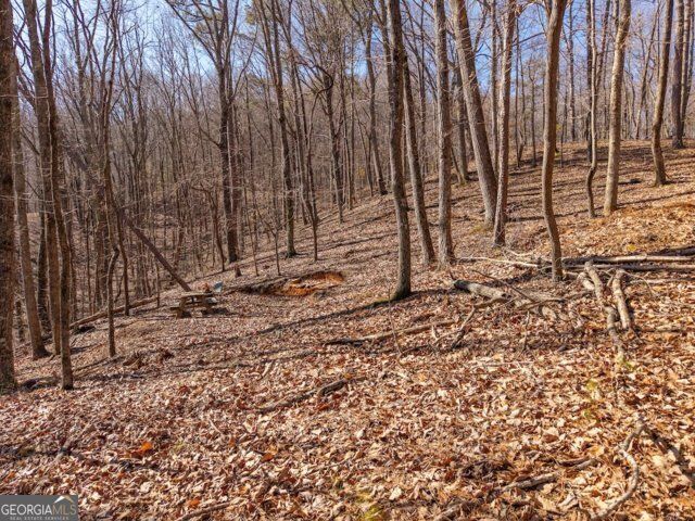 1110 Mayfield Lane, Ranger, GA 30734