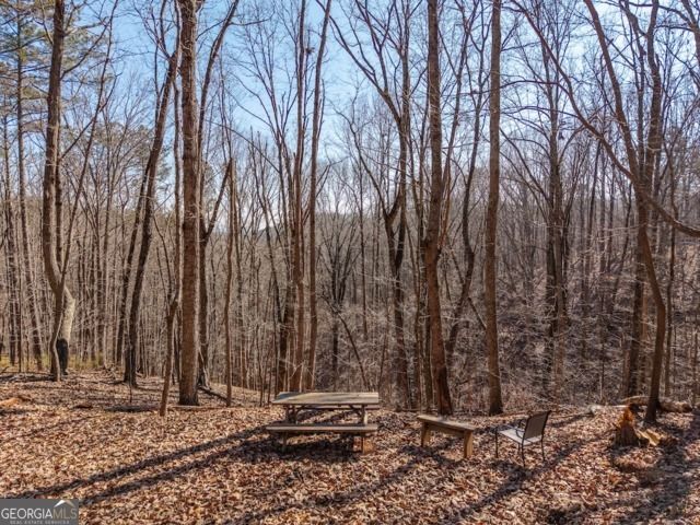 1110 Mayfield Lane, Ranger, GA 30734