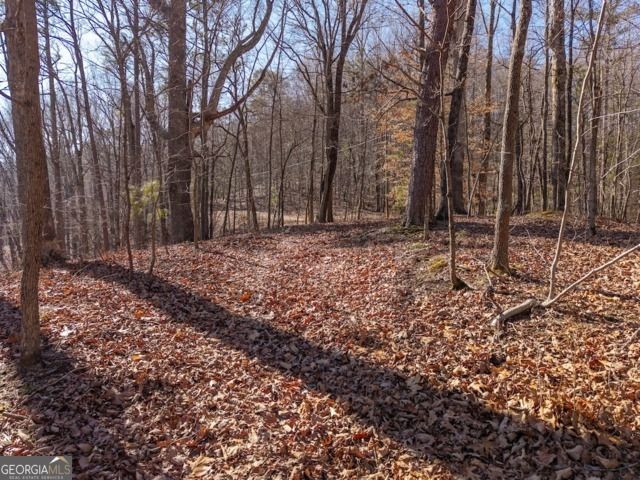 1110 Mayfield Lane, Ranger, GA 30734