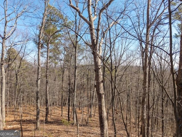 1110 Mayfield Lane, Ranger, GA 30734