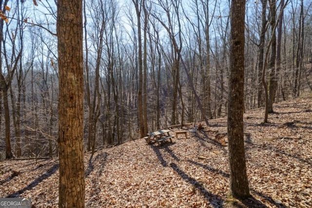 1110 Mayfield Lane, Ranger, GA 30734