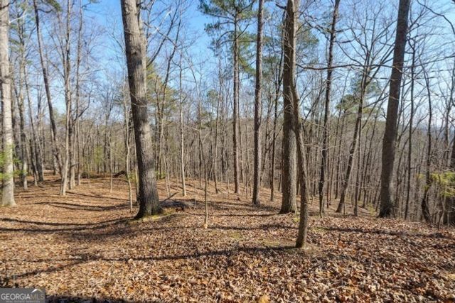 1110 Mayfield Lane, Ranger, GA 30734