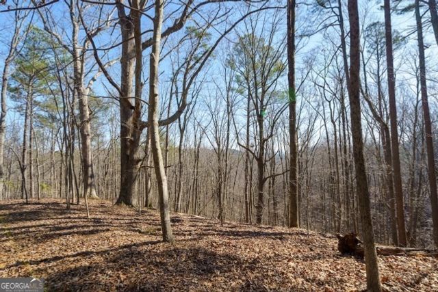 1110 Mayfield Lane, Ranger, GA 30734