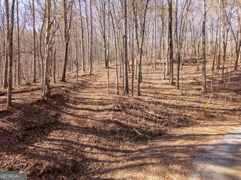 1110 Mayfield Lane, Ranger, GA 30734