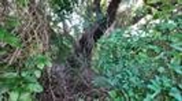 3012 Moon Court, Granbury, TX 76049