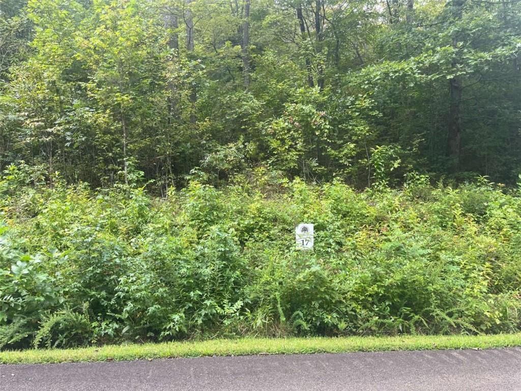 LOT 17 Staurolite Mountain Drive, Blue Ridge, GA 30513