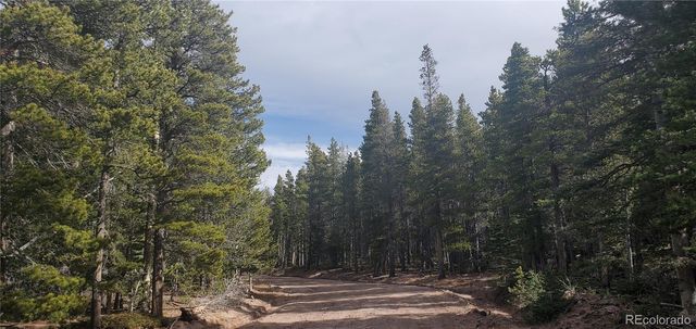 Lot 3246 Zipf Lane, Fort Garland, CO 81133