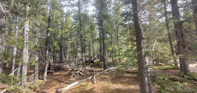 Lot 3246 Zipf Lane, Fort Garland, CO 81133