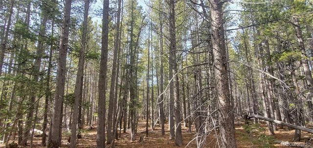 Lot 3246 Zipf Lane, Fort Garland, CO 81133