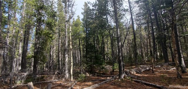 Lot 3246 Zipf Lane, Fort Garland, CO 81133