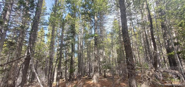 Lot 3246 Zipf Lane, Fort Garland, CO 81133