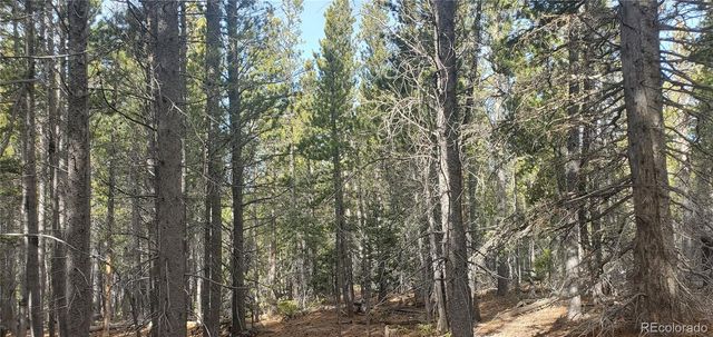 Lot 3246 Zipf Lane, Fort Garland, CO 81133