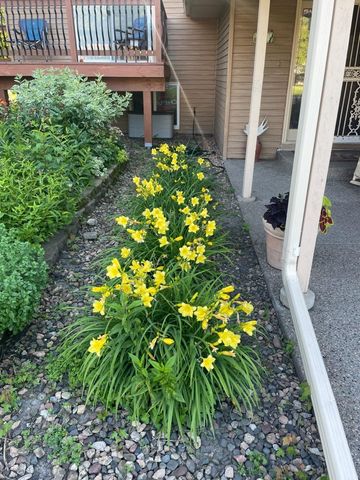 1487 Meadow Lane, Maple Plain, MN 55359