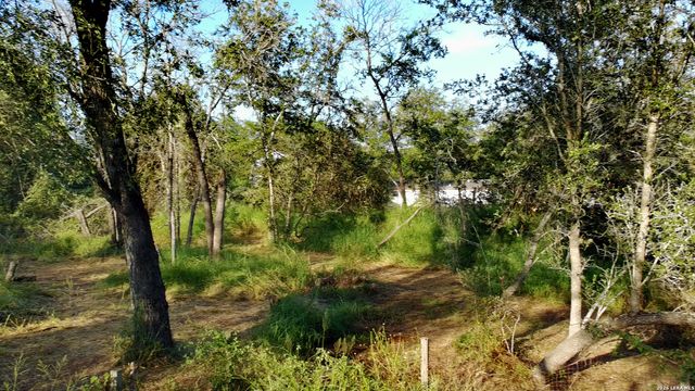 23798 MATHIS RD, Elmendorf, TX 78112